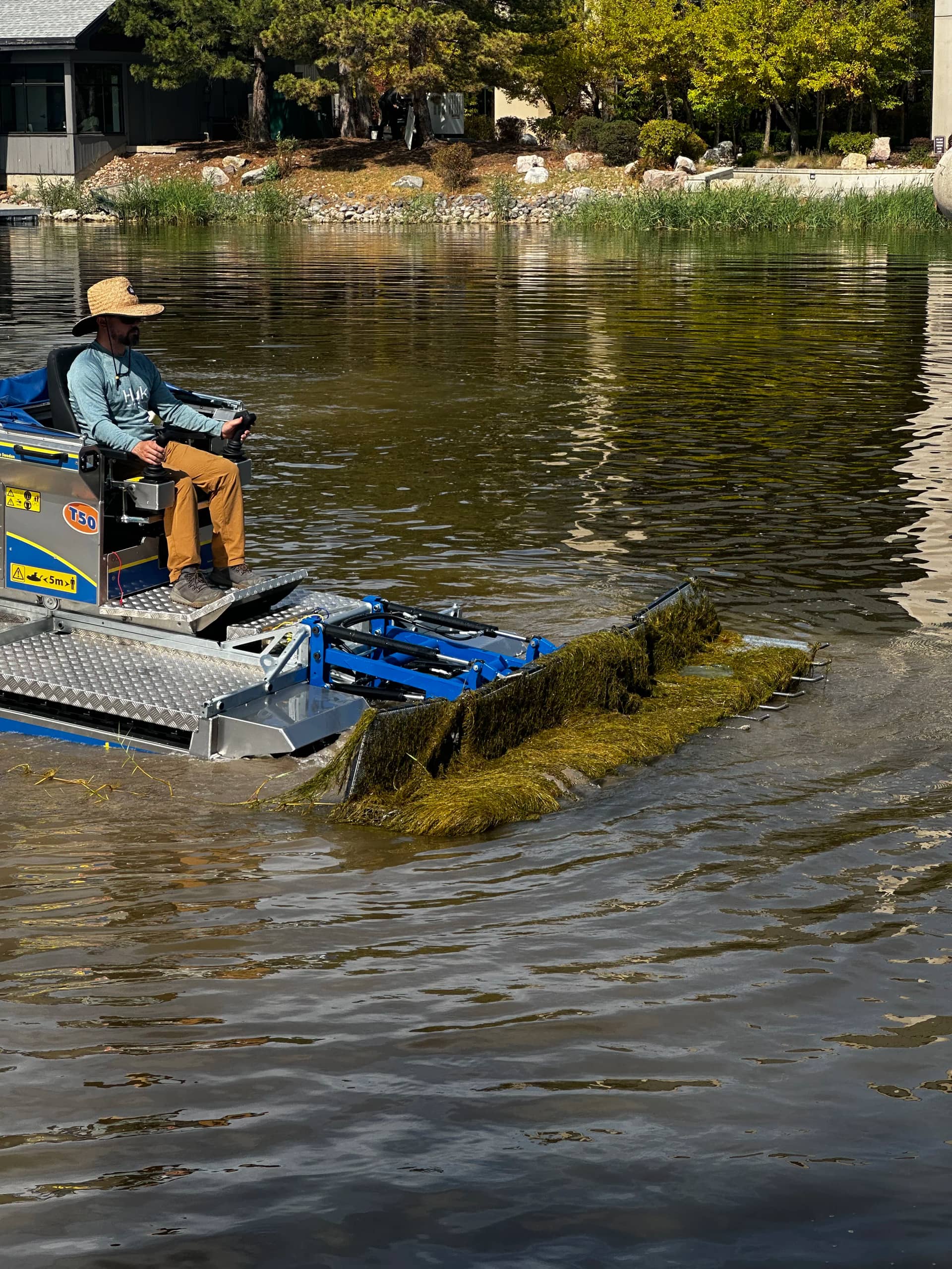 Evening clarity report by The Water Raptor