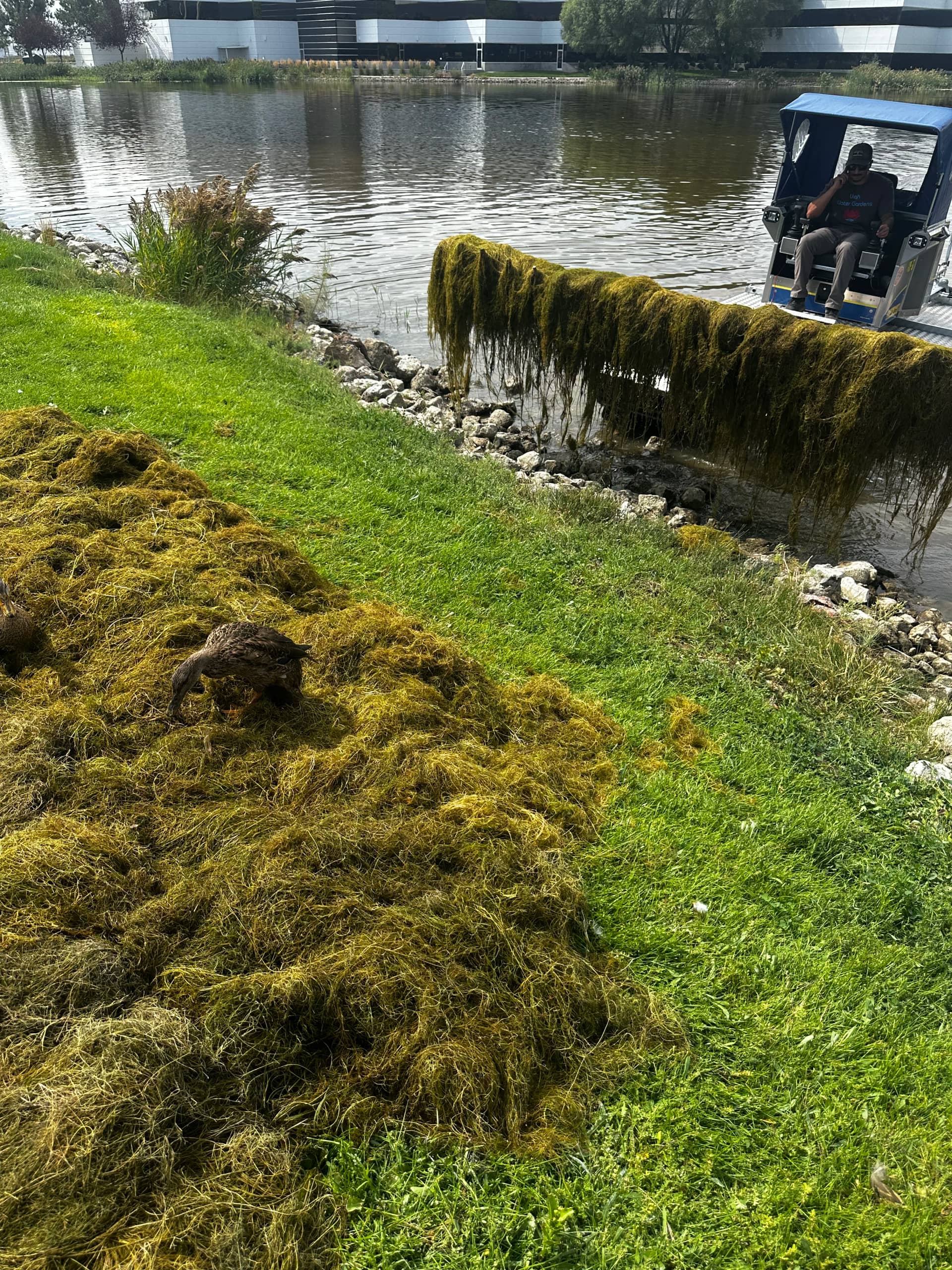 Floating debris removal by The Water Raptor