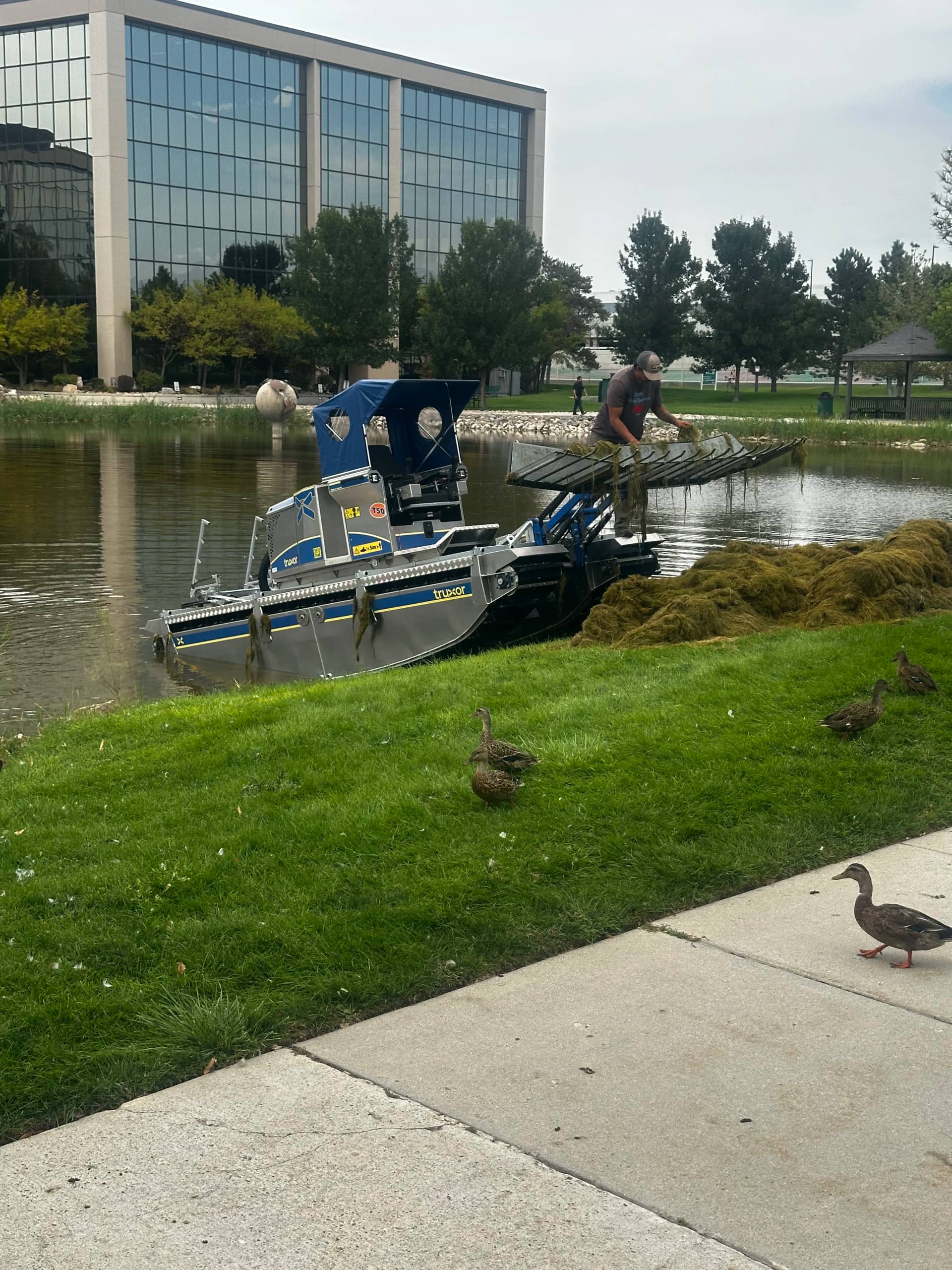 Restoration access by The Water Raptor