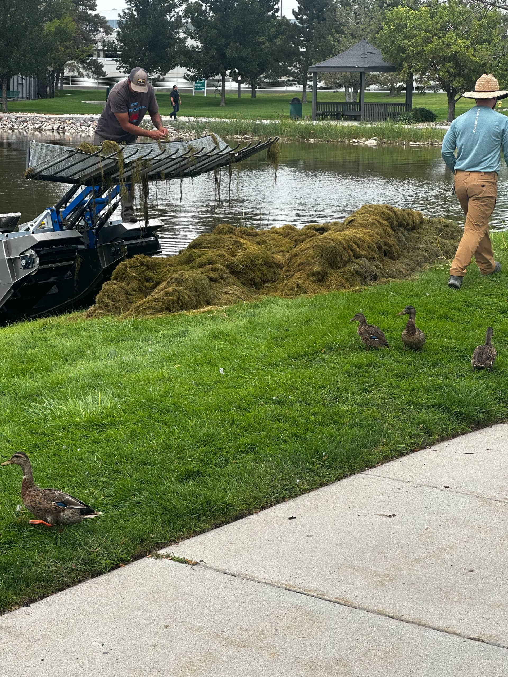 Canal clean after by The Water Raptor