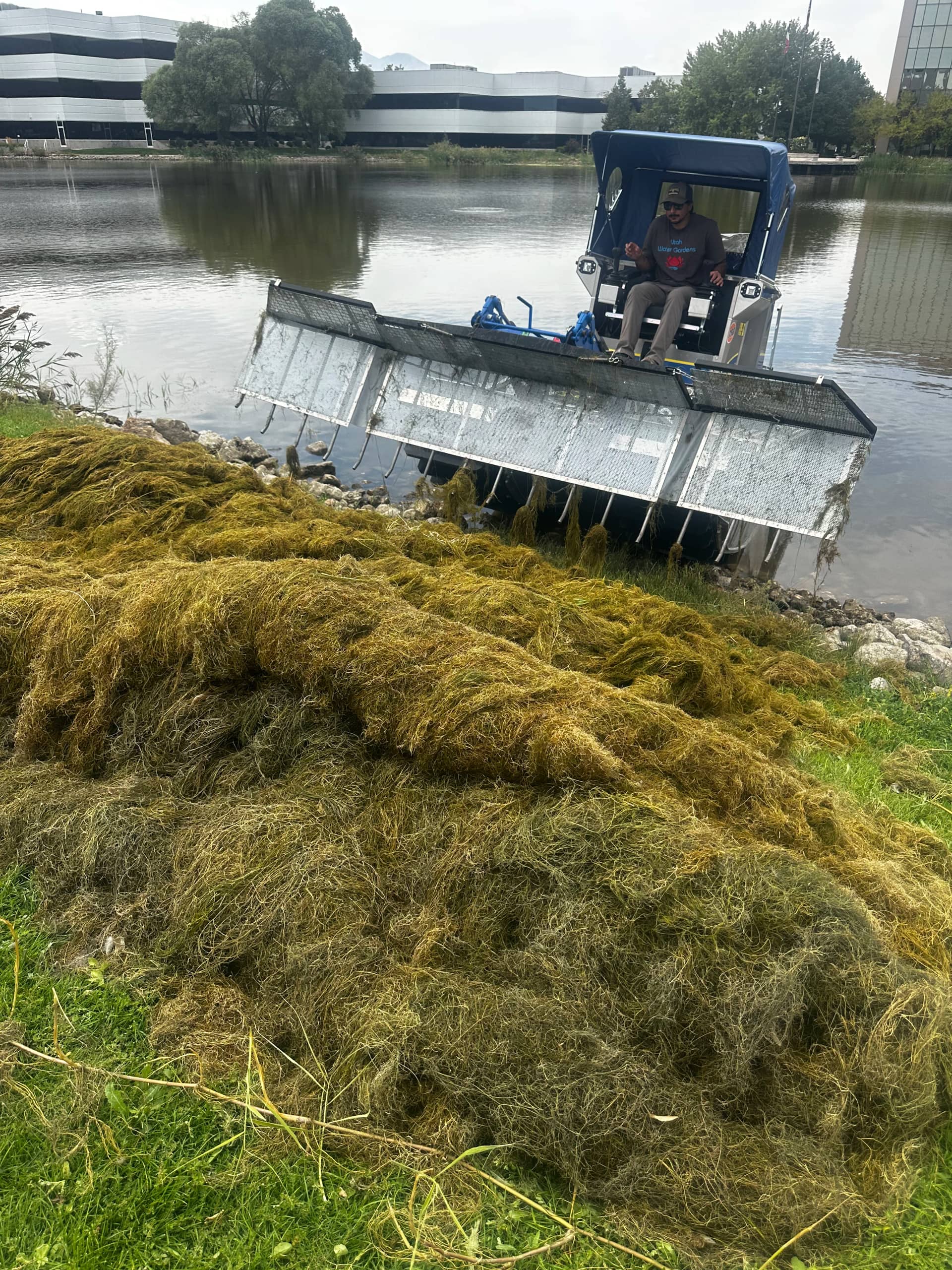 Fresh clarity by The Water Raptor