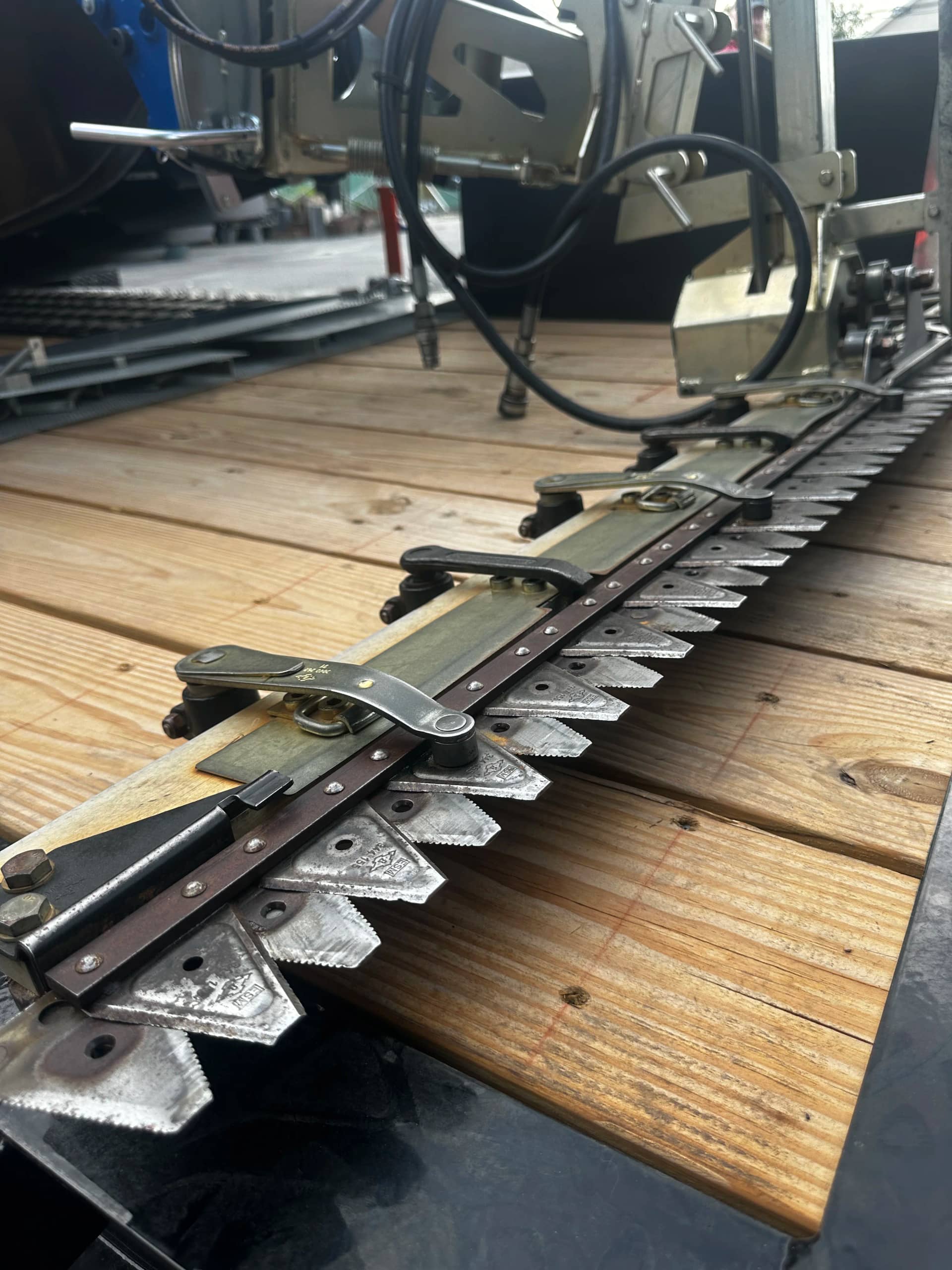 Reed bed thinning by The Water Raptor