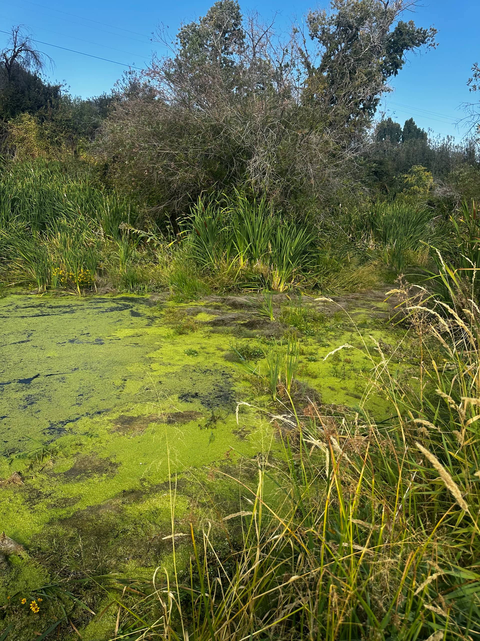 Night operations by The Water Raptor