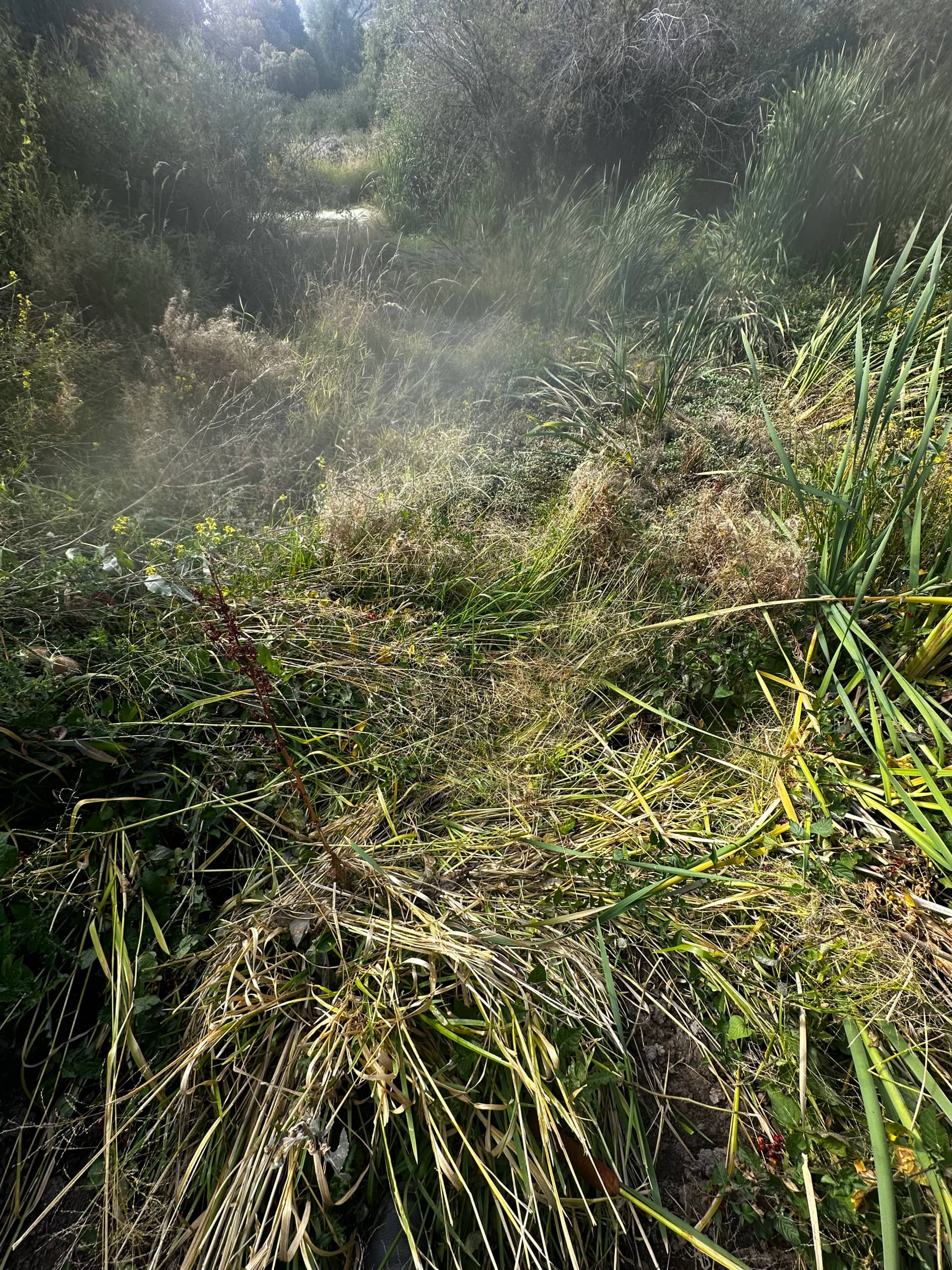 Regional reservoir work by The Water Raptor