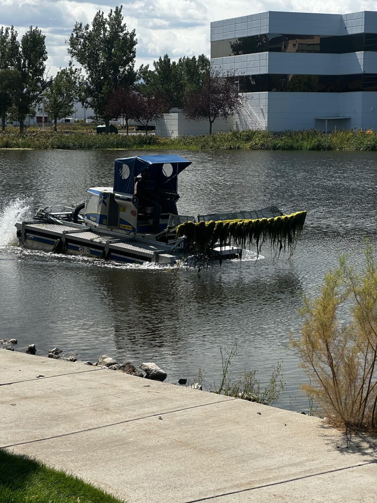 Water Raptor harvesting aquatic beds