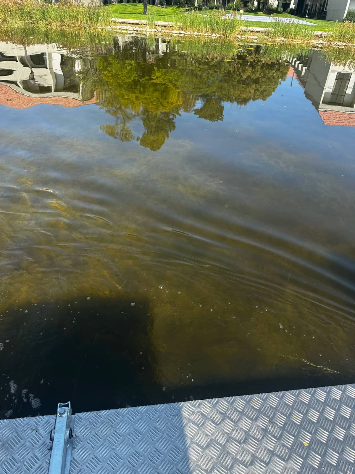 Cleared shoreline after harvest