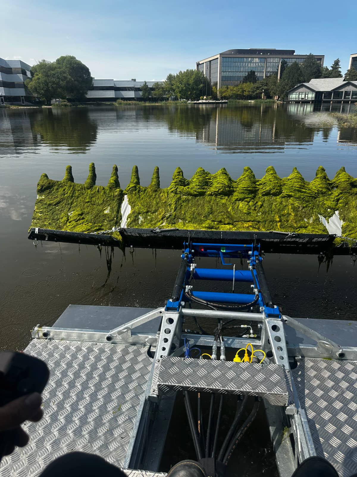 Water Raptor cruising a calmer lake