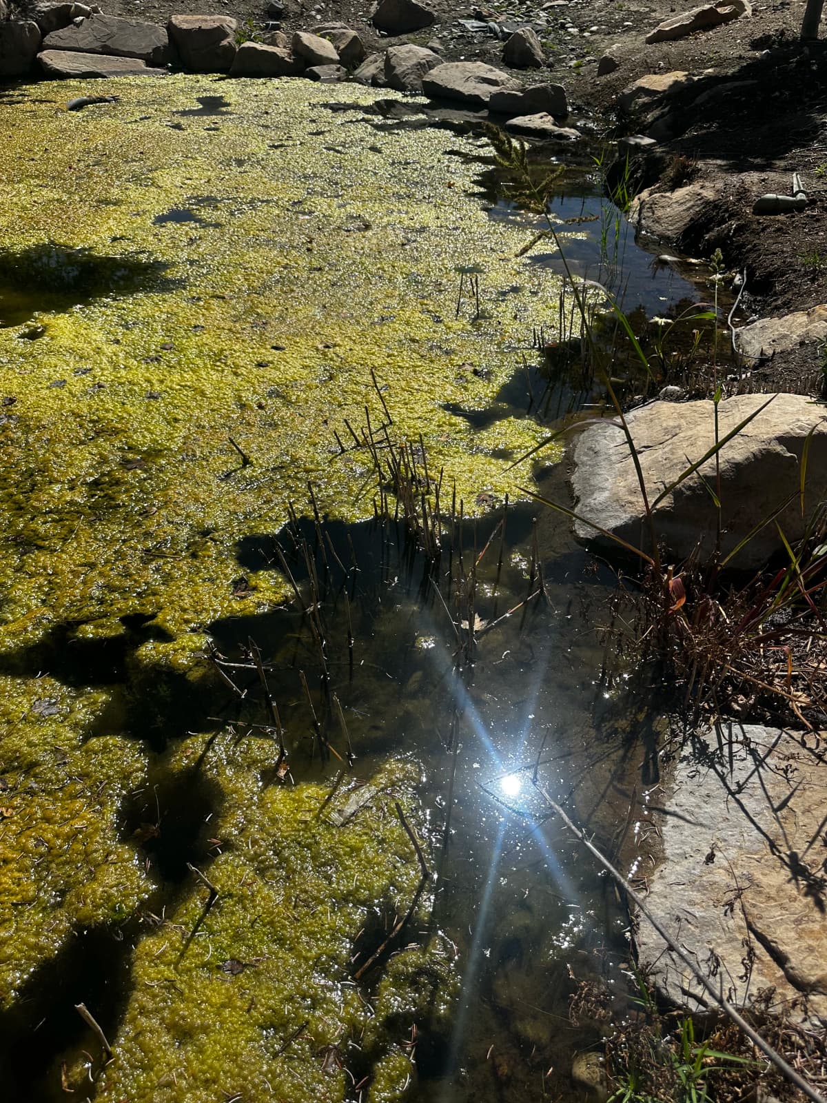 Water Raptor cleaning canal