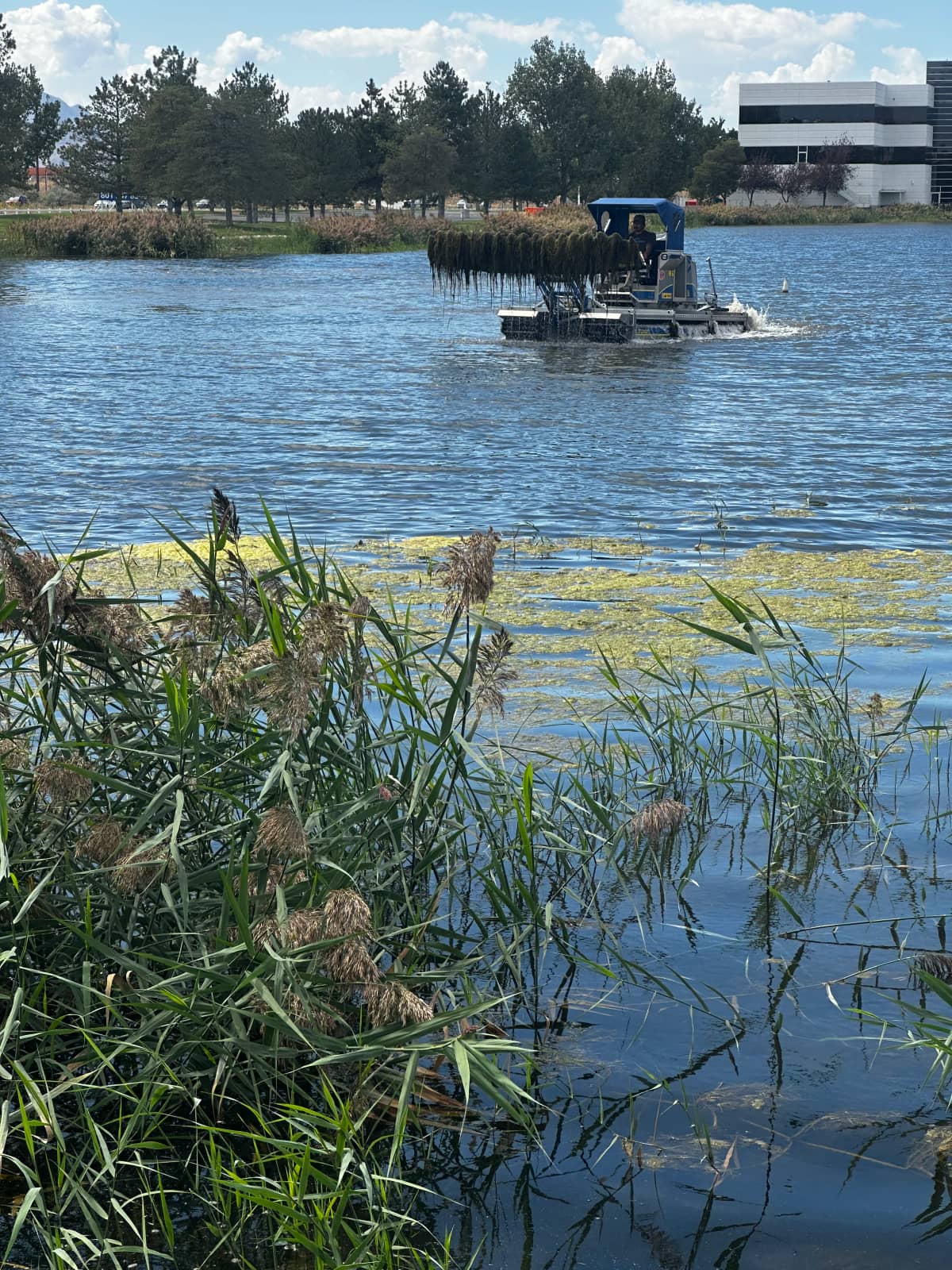 Sediment removal near shore