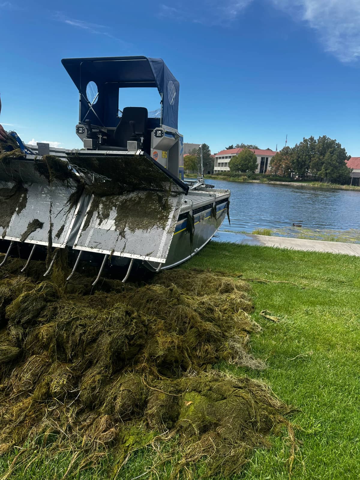 Shoreline clean after harvest