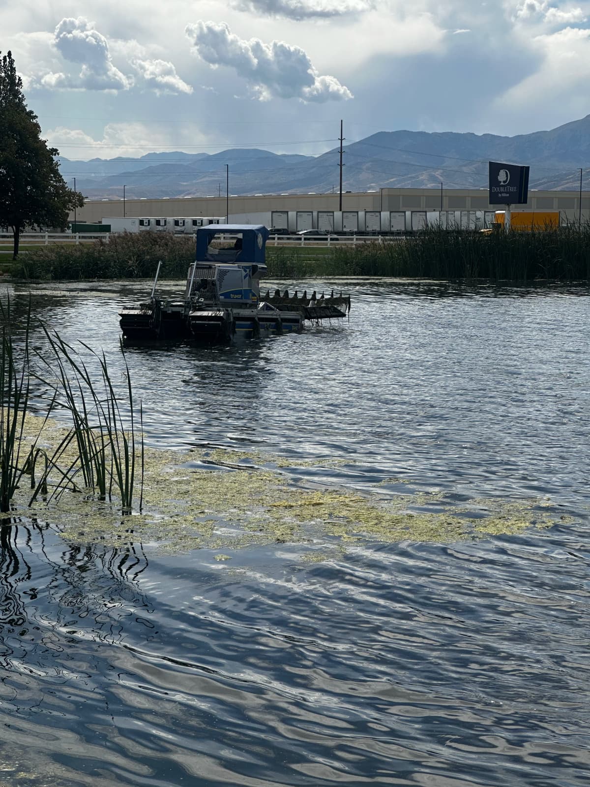 Before and after restorative work