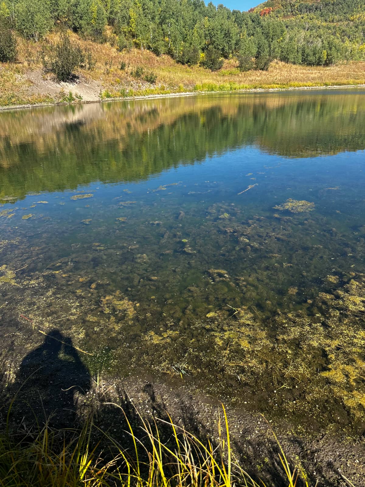 Shoreline repair by crew