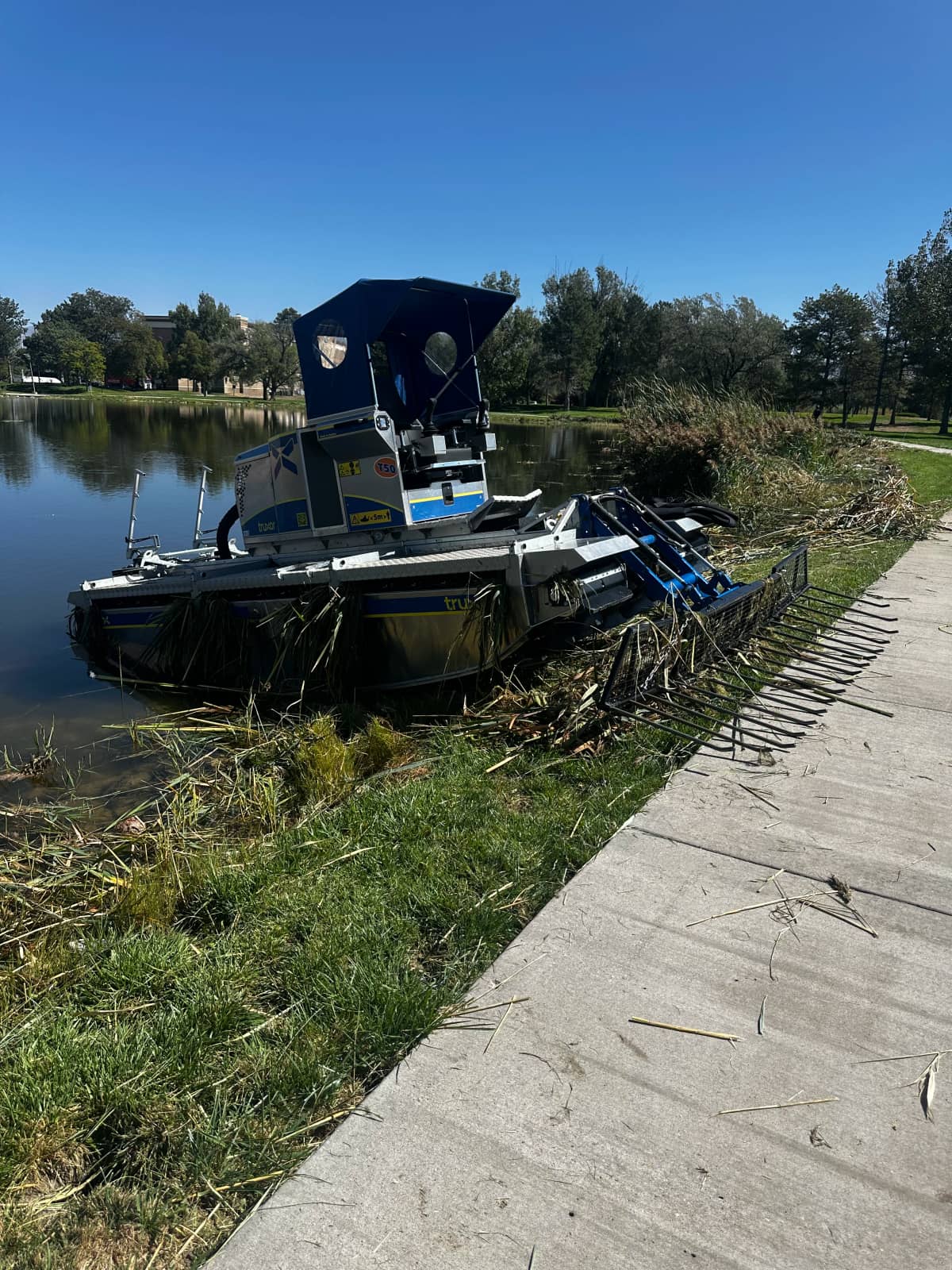 High desert shoreline