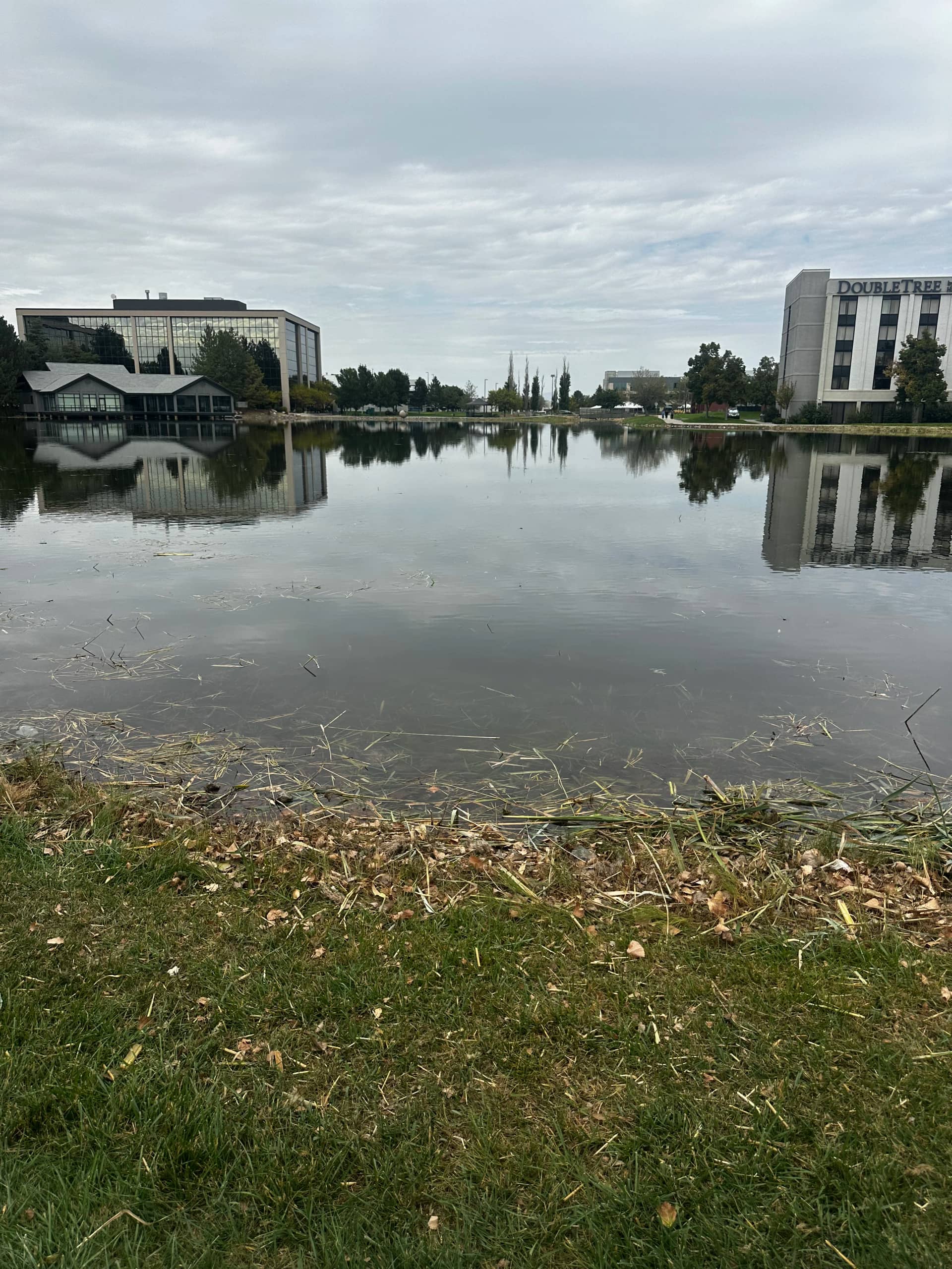 Clarity testing by The Water Raptor