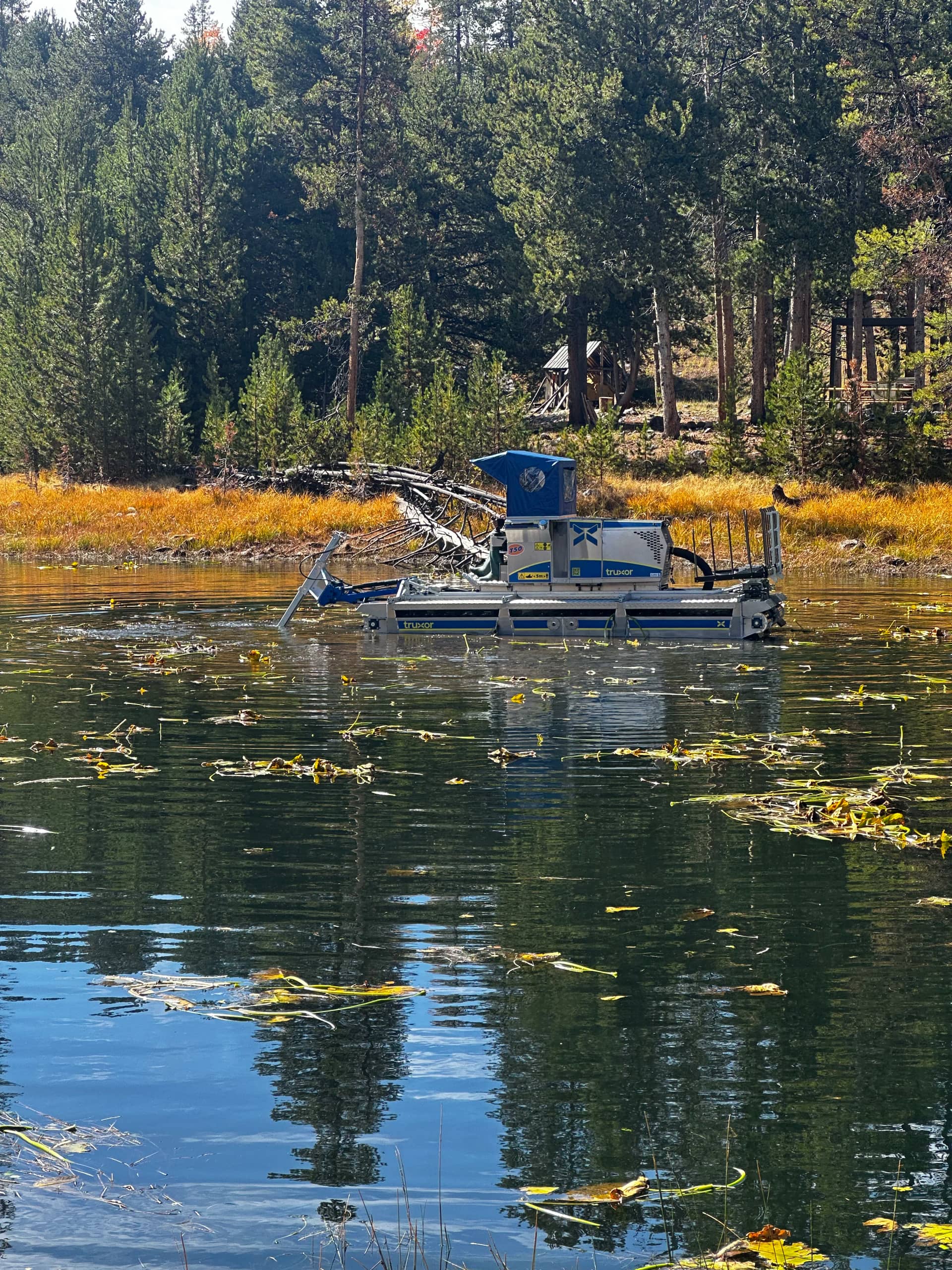 Shoreline collection by The Water Raptor