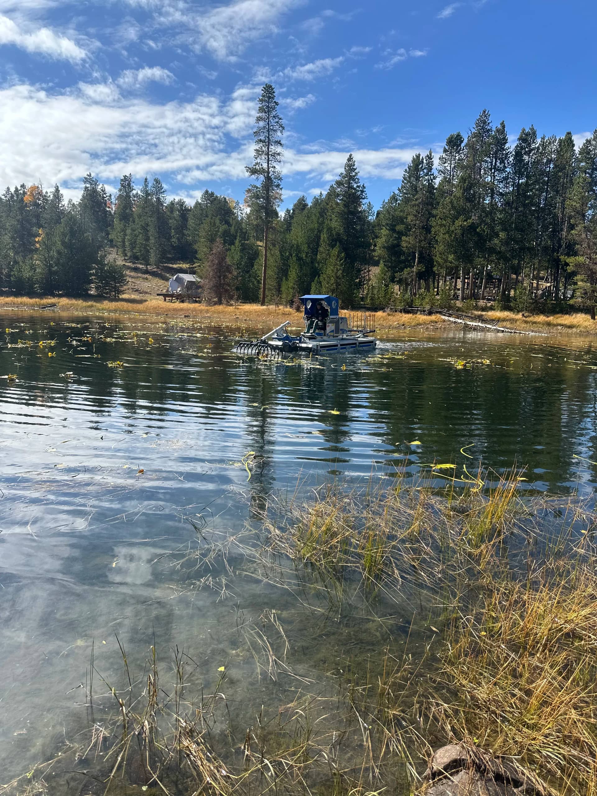Cattail removal by The Water Raptor
