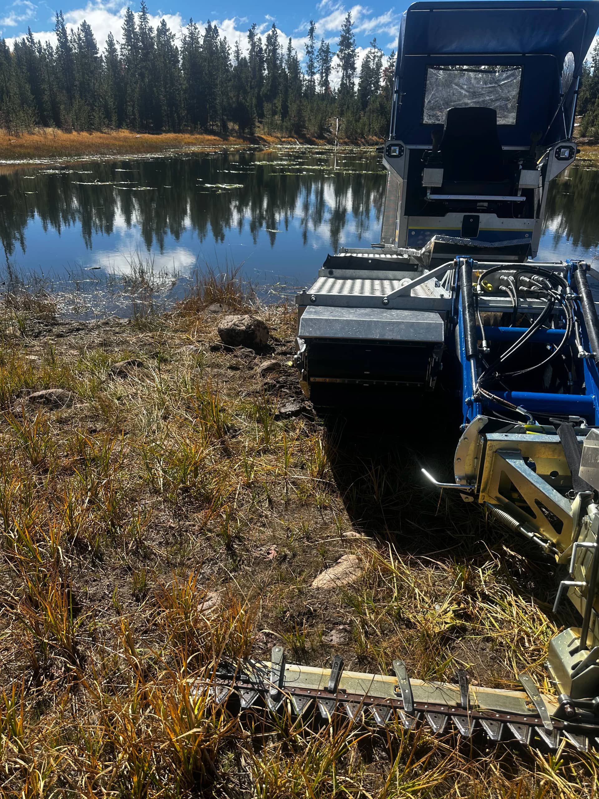 Dense weed zone by The Water Raptor