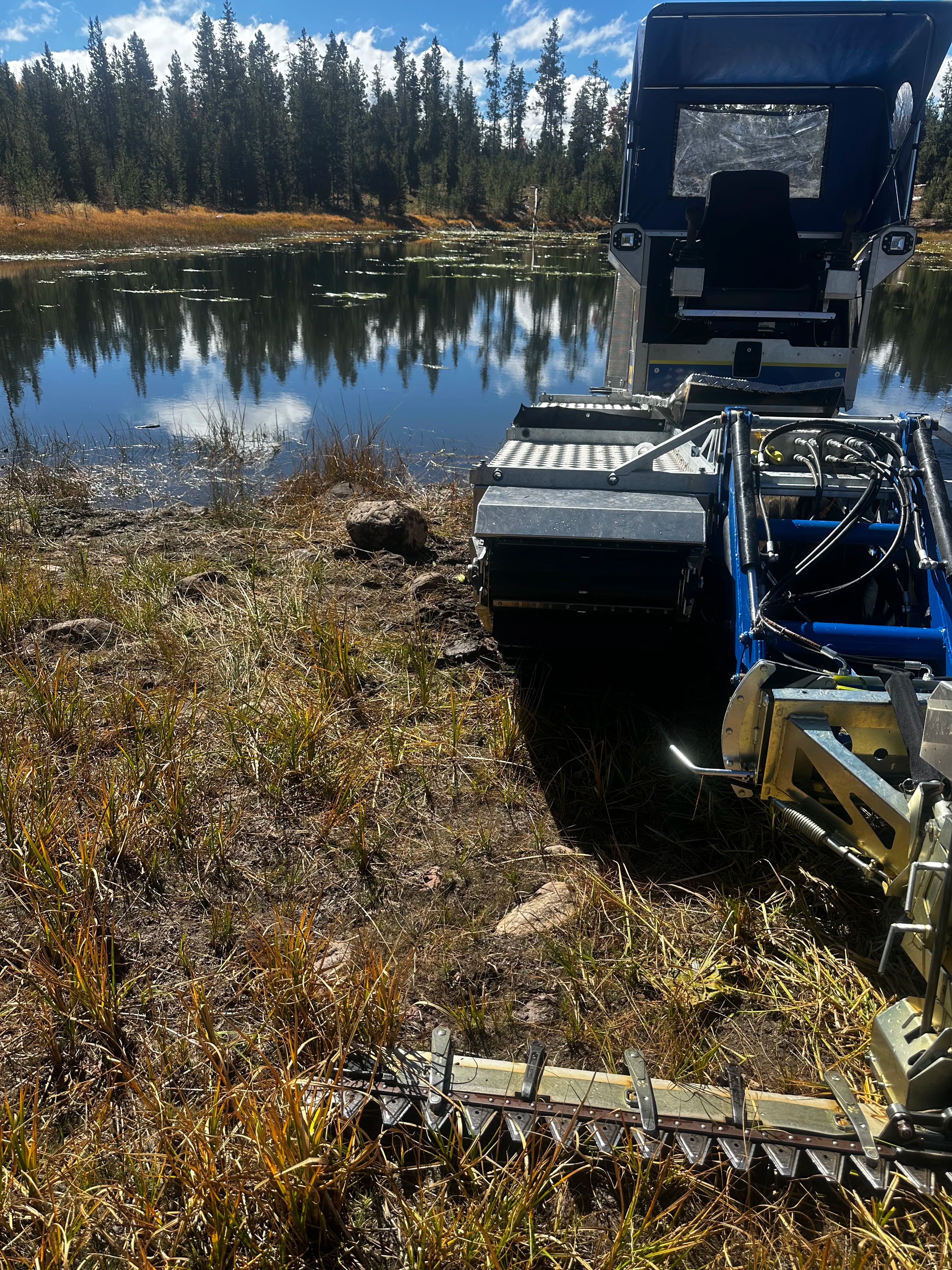 Dense weed zone by The Water Raptor