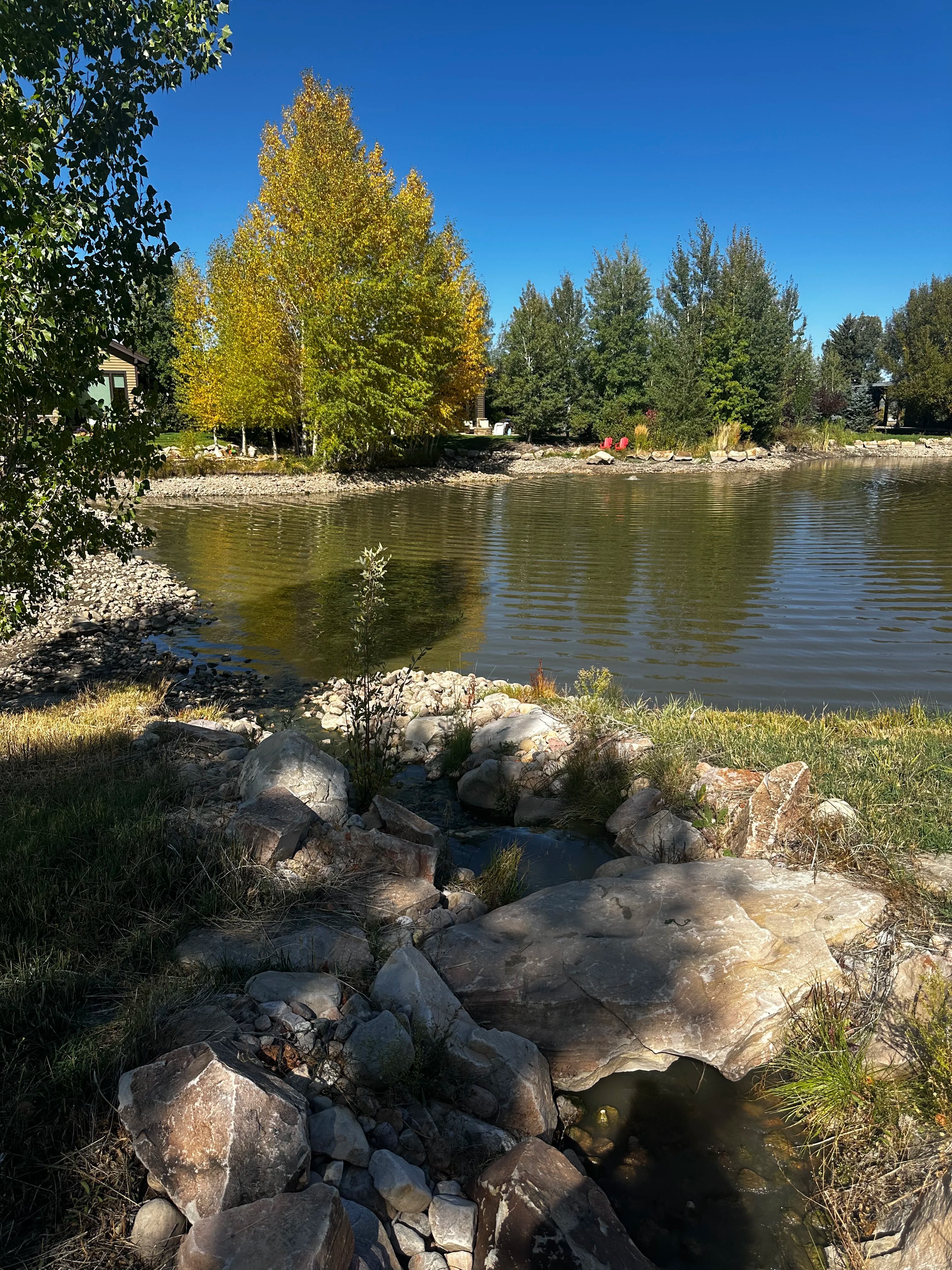 Herbicide staging by The Water Raptor