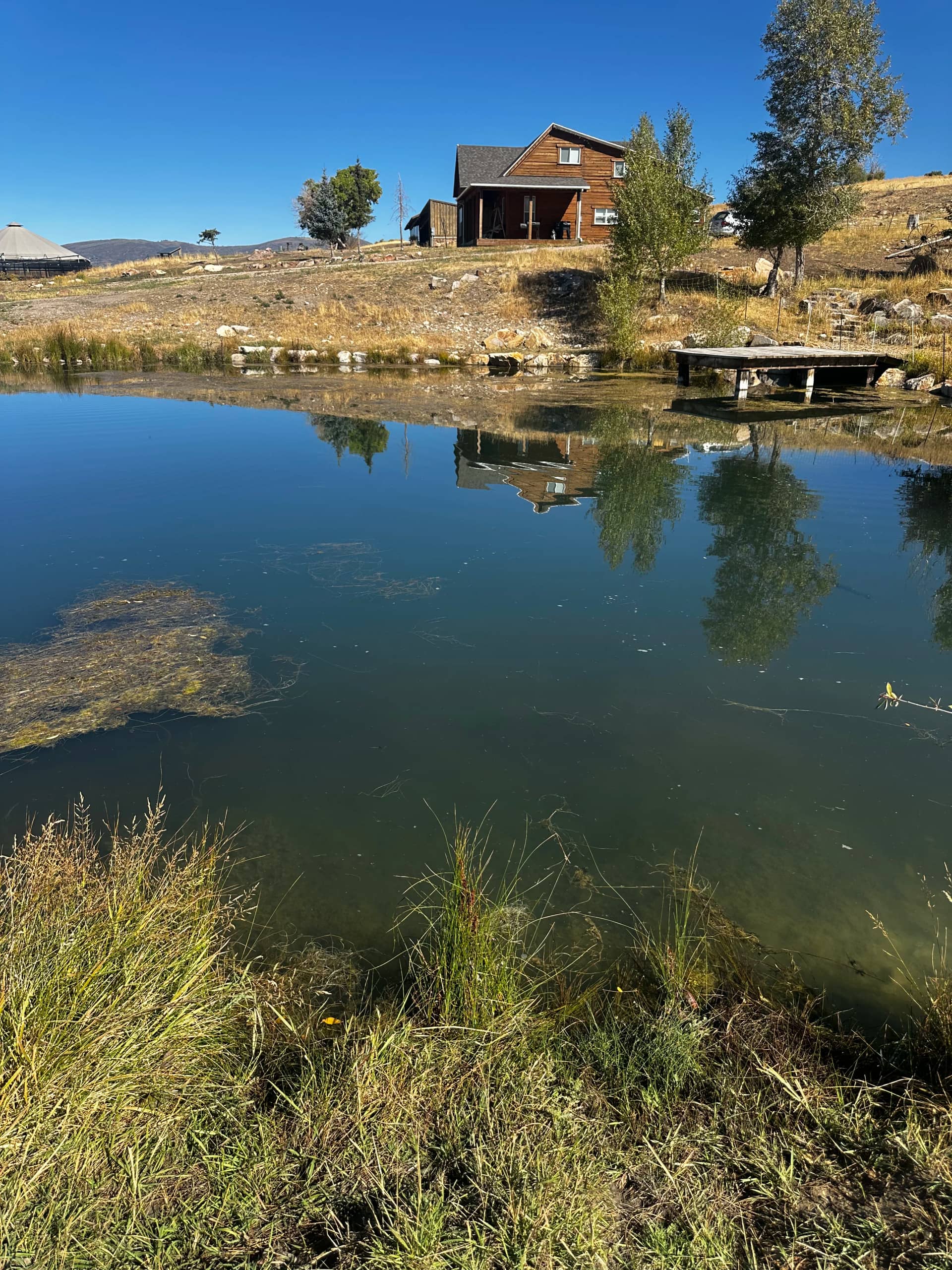 Mixing and measuring by The Water Raptor