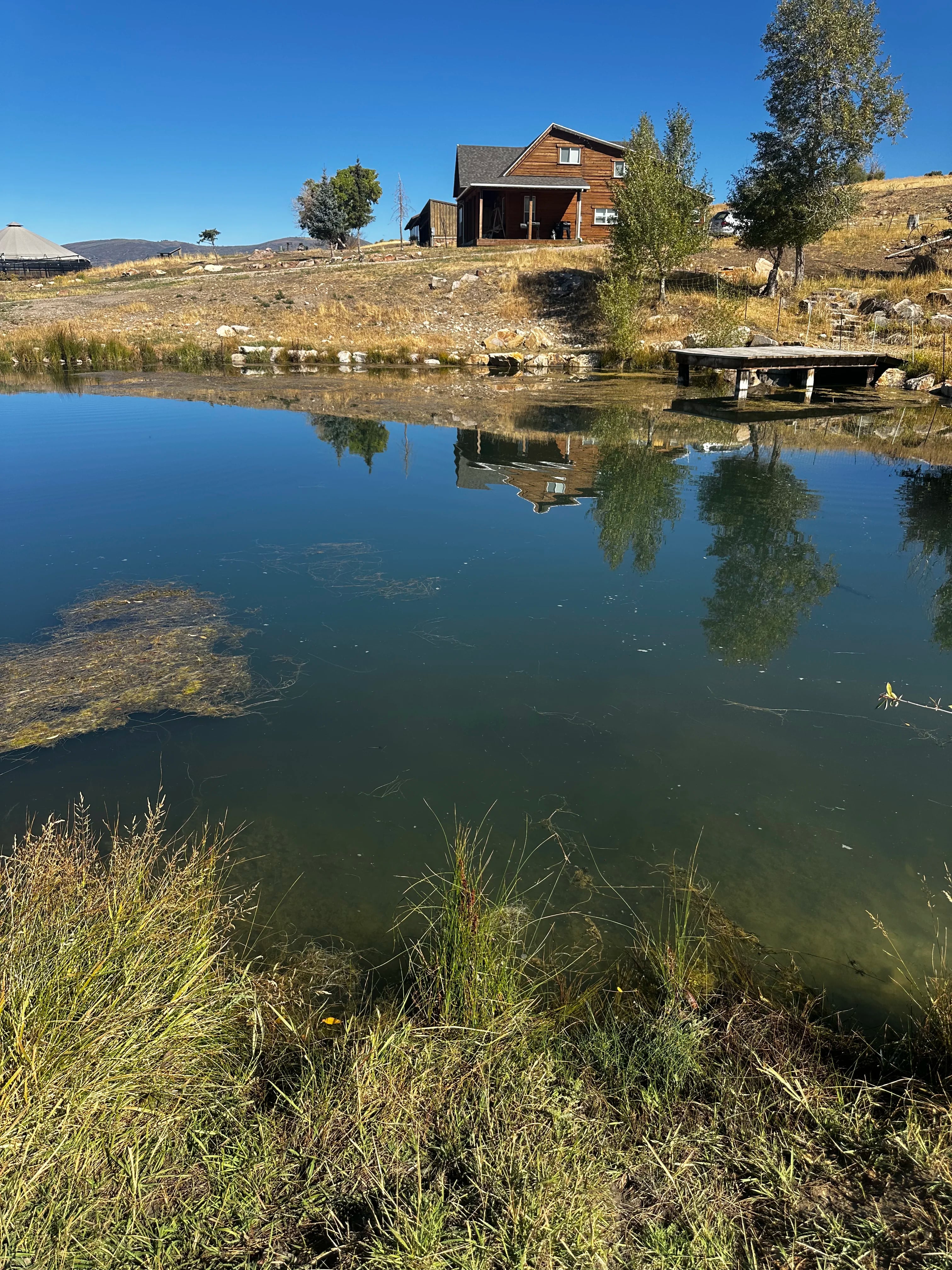 Mixing and measuring by The Water Raptor
