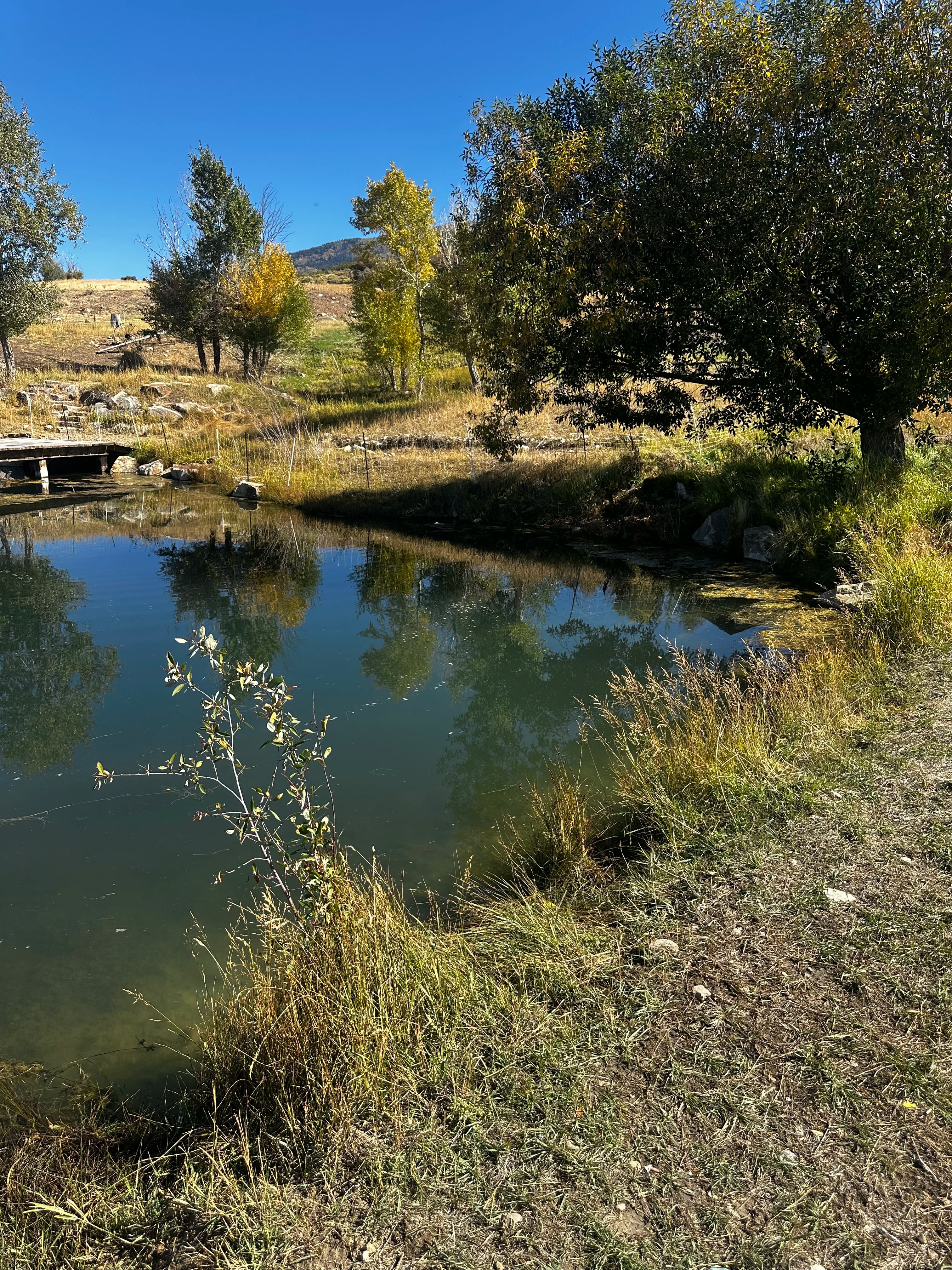 Dredge pump in use by The Water Raptor