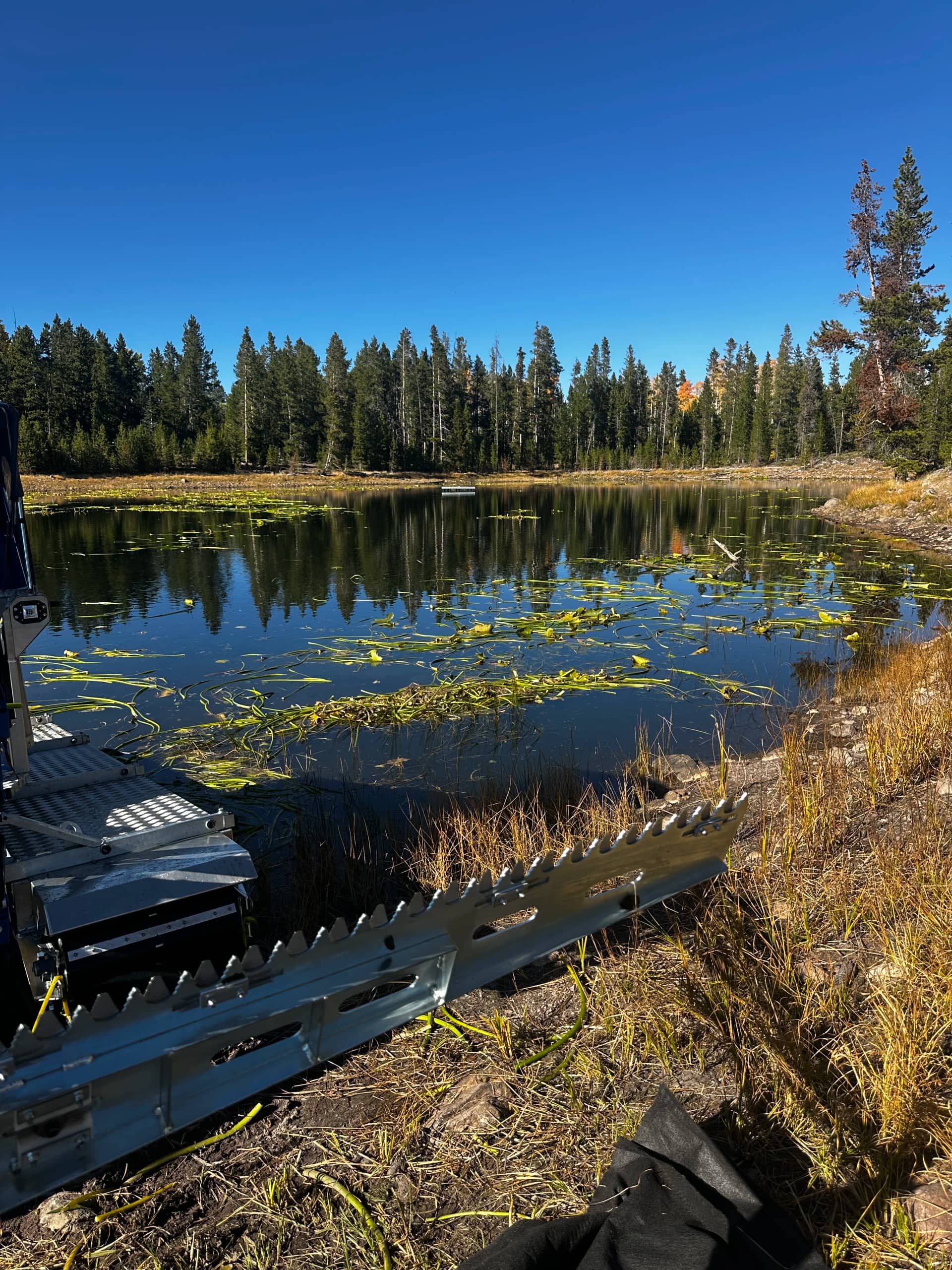 Drone with herbicide by The Water Raptor