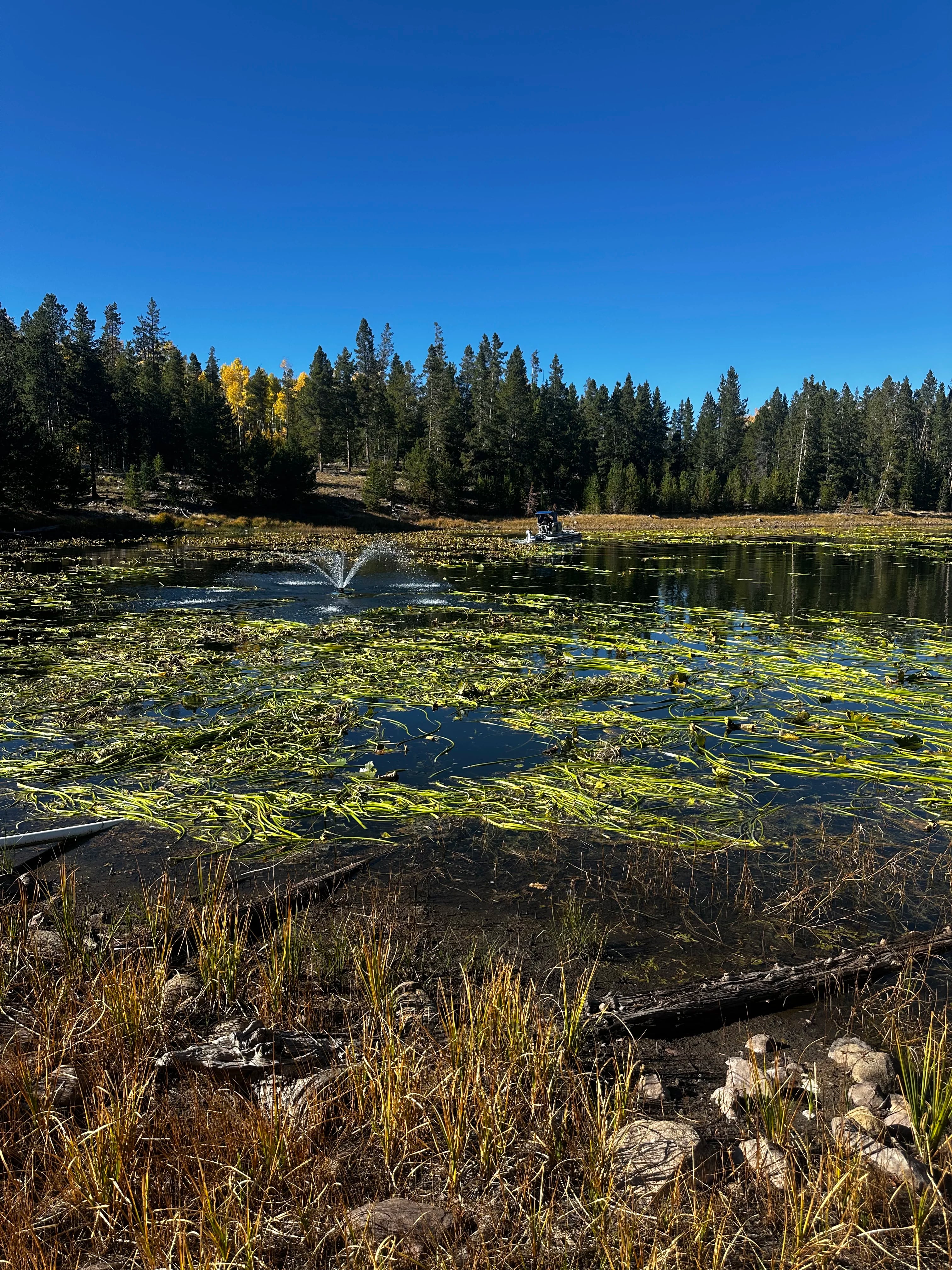 Aerial spray by The Water Raptor