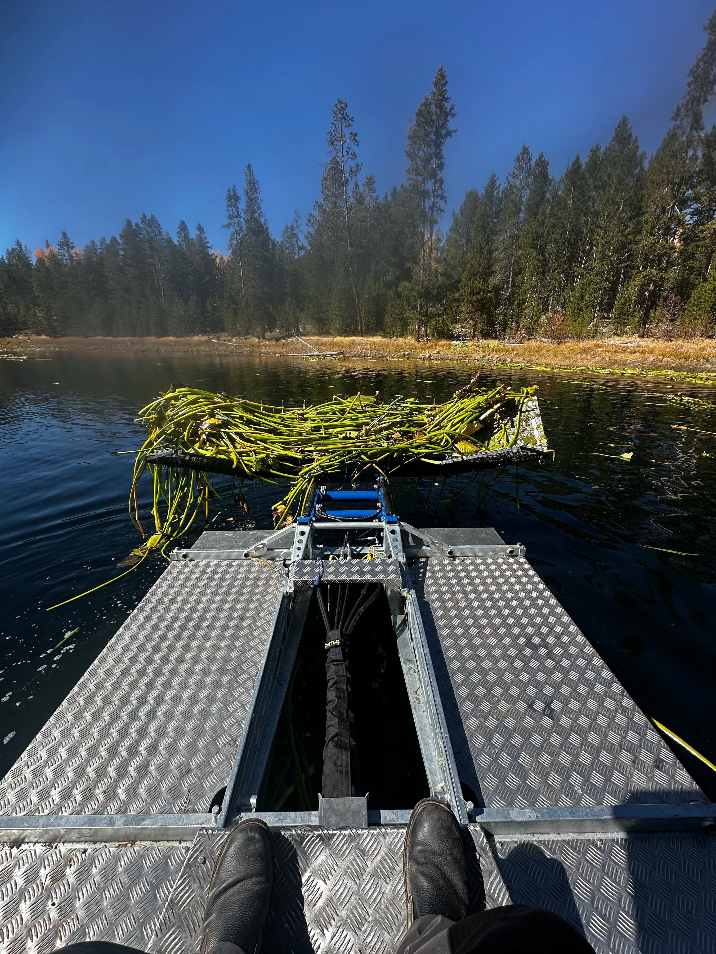 Channel ready for irrigation by The Water Raptor