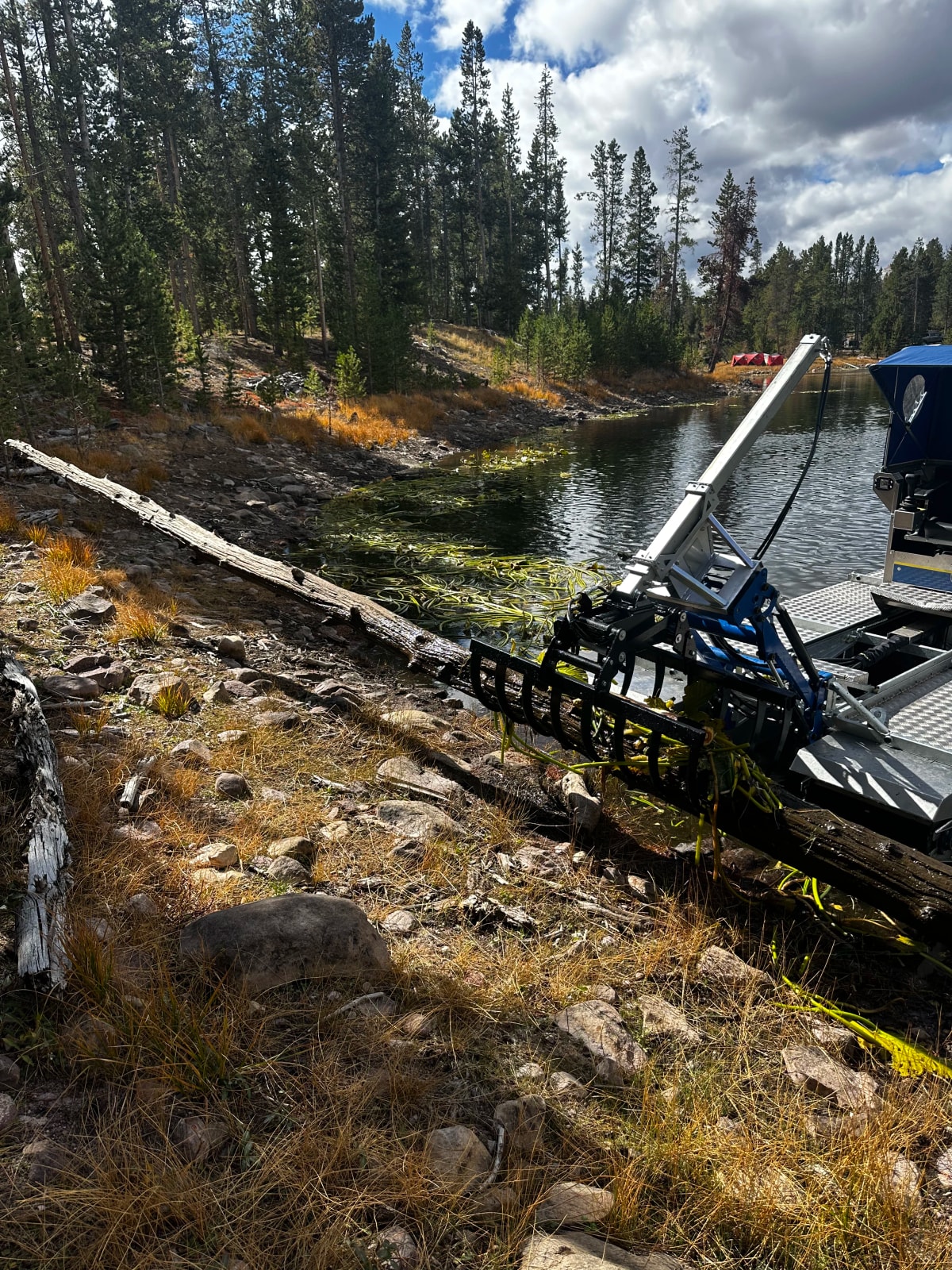 River debris cleanup