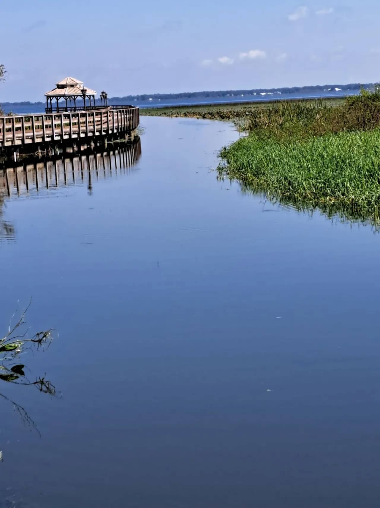 Before/after clarity by The Water Raptor