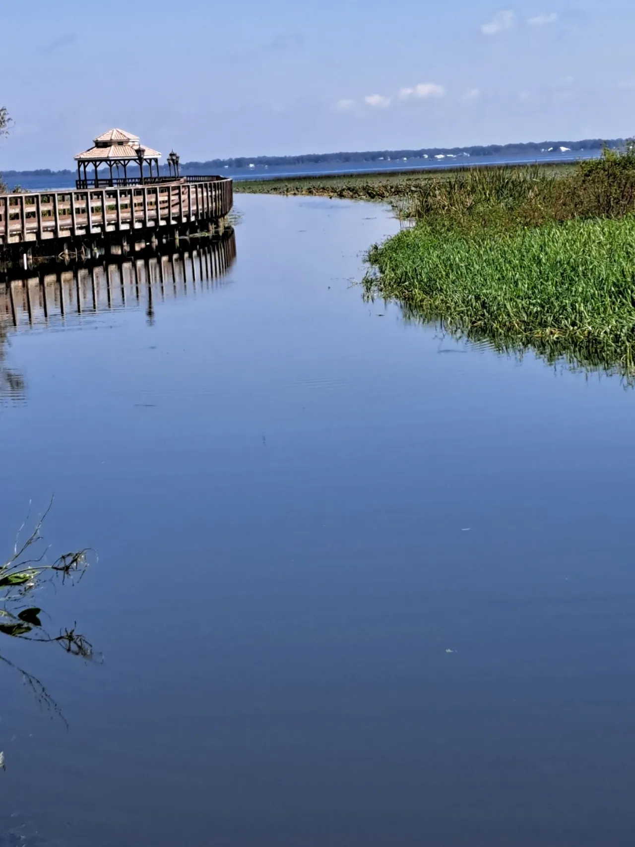 Before/after clarity by The Water Raptor