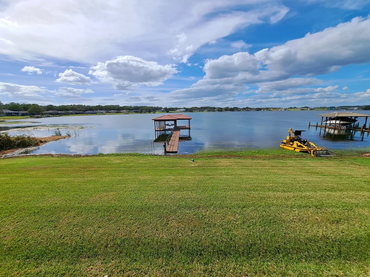 Invasive species harvesting
