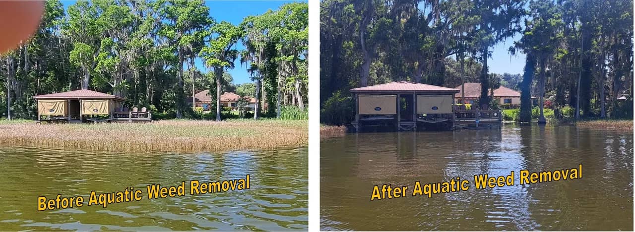 Trail before & after by The Water Raptor