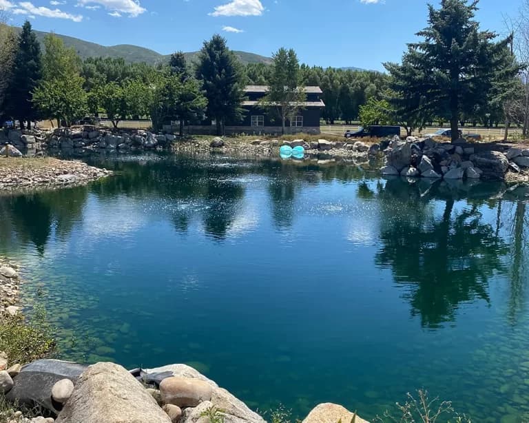 Toxic algae response