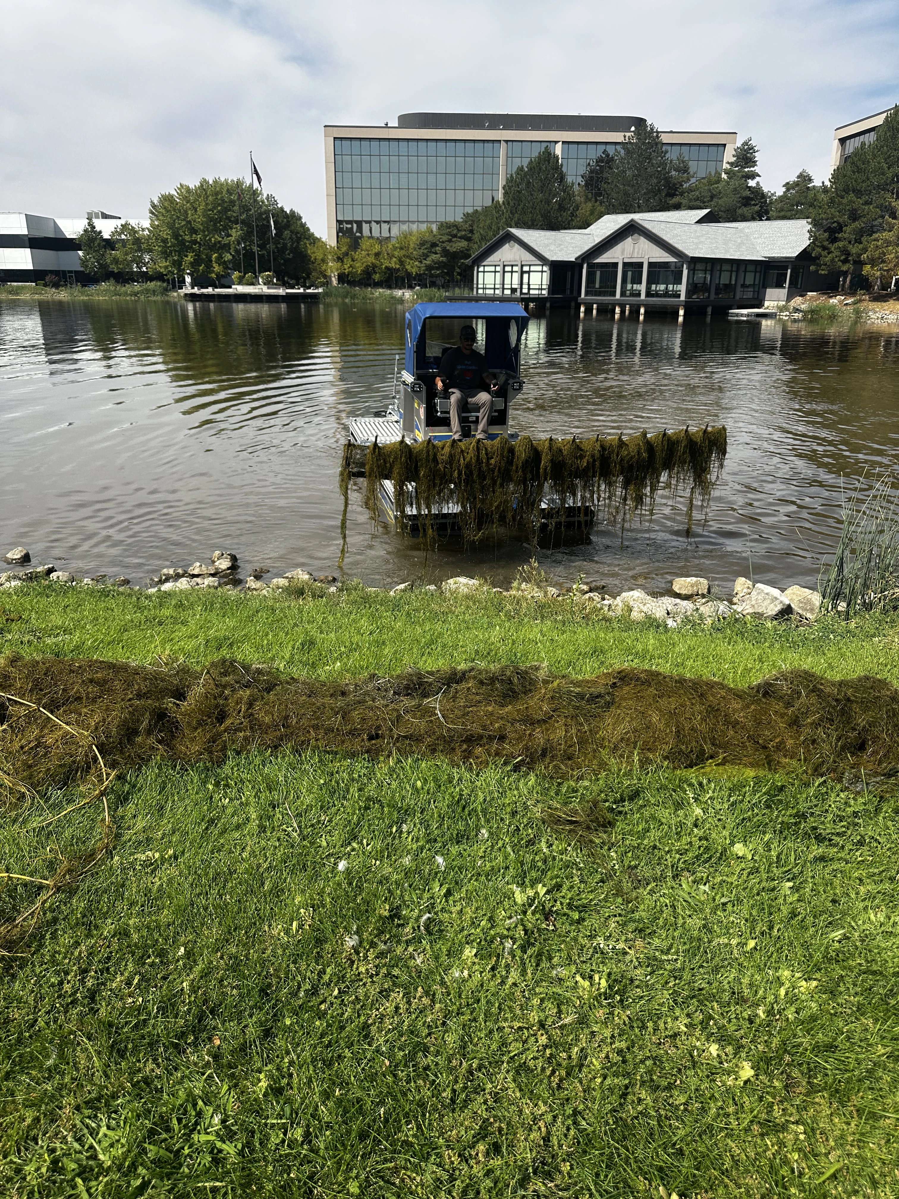 Shoreline access clearing along Utah pond edge