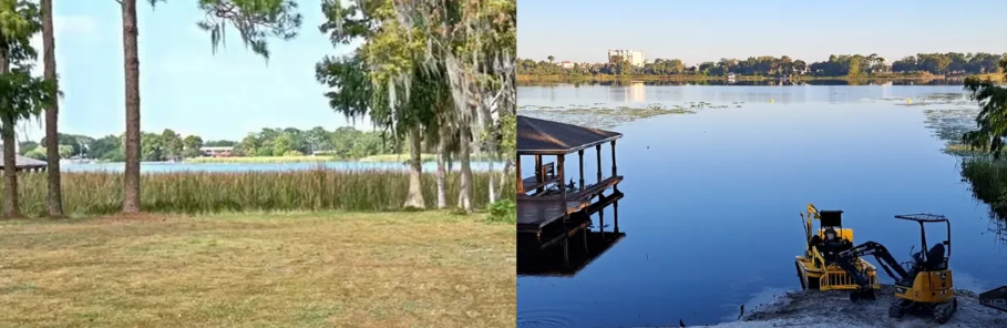 Pond before cleanup - overgrown with weeds and algae