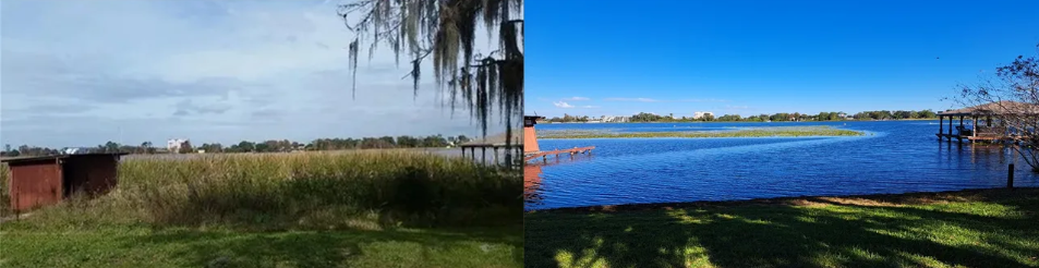 Pond after cleanup - crystal clear water with healthy ecosystem
